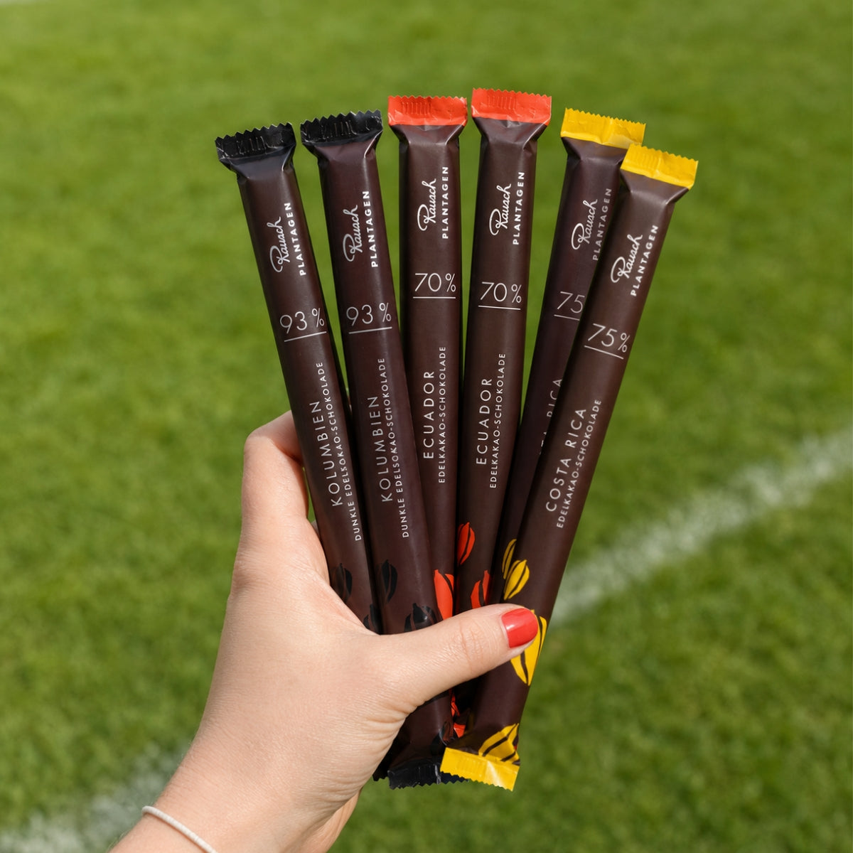 Handgehaltener Mix aus sechs schlanken, dunkelbraunen Schokoladensticks mit bunten Enden. - Rausch