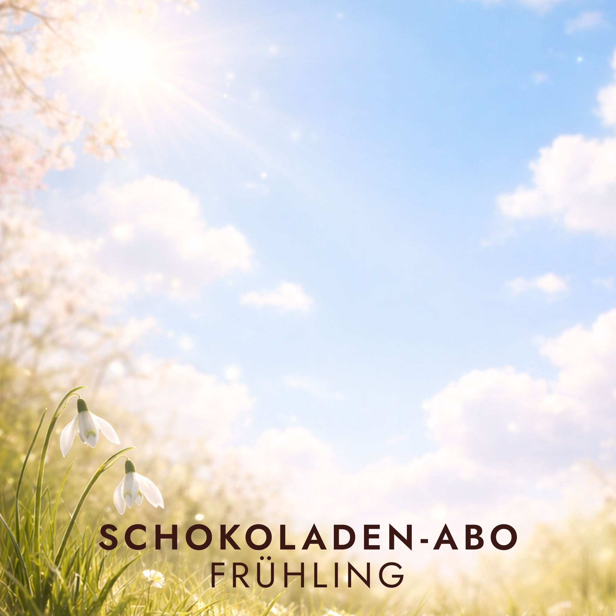 SCHOKOLADEN-ABO EXKLUSIV Rausch