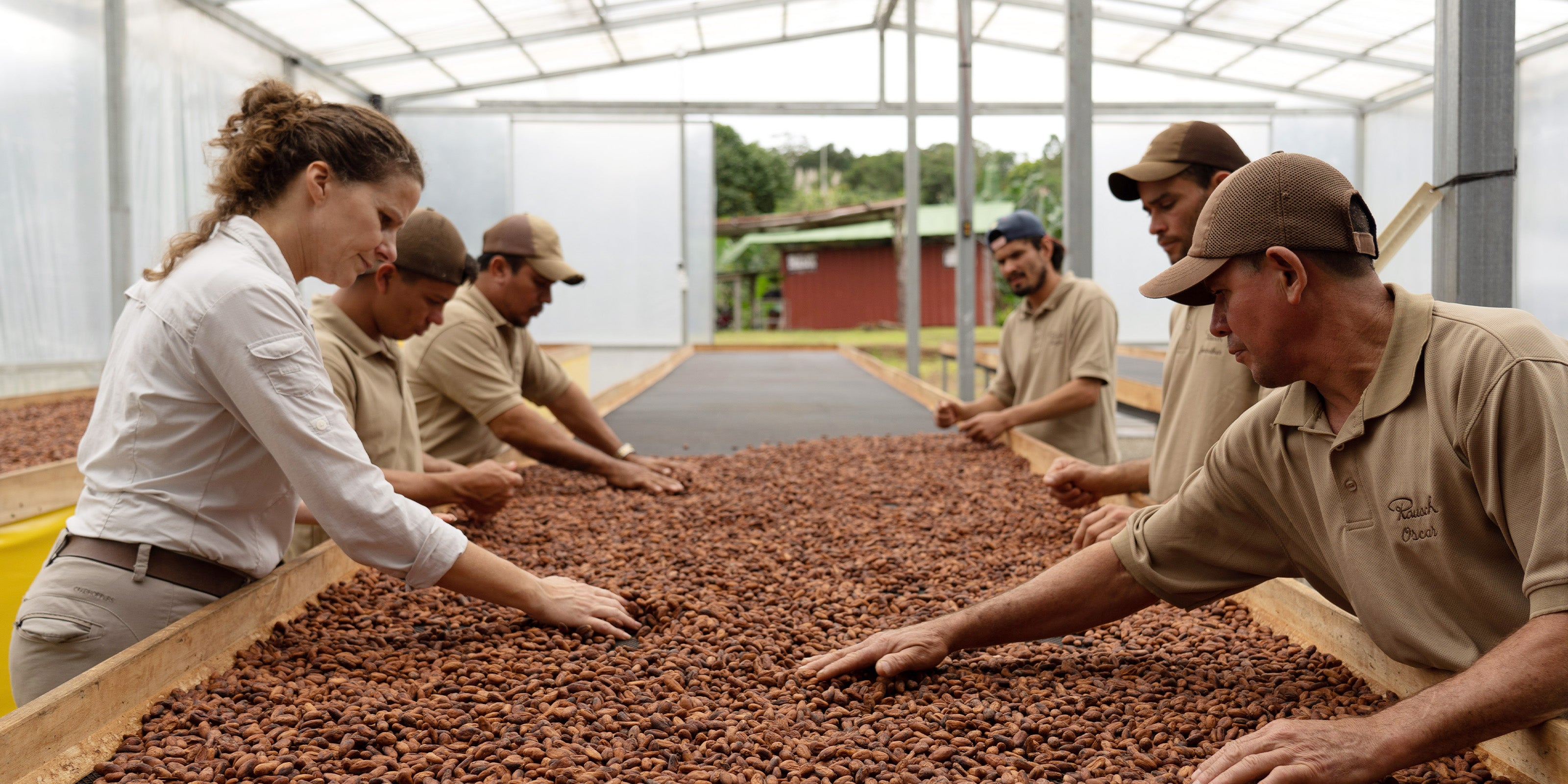 Rausch Team in Costa Rica Kakaobohnenkontrolle