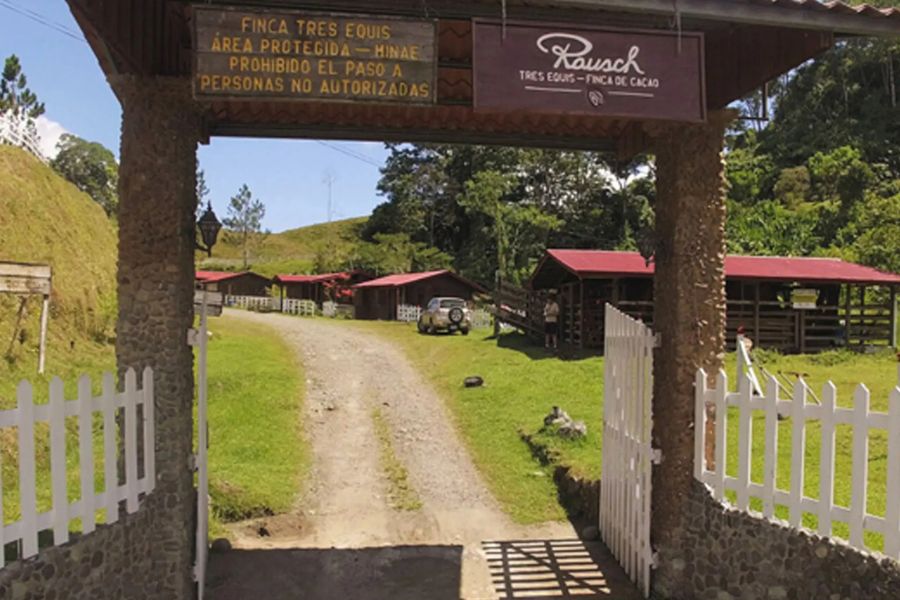 Unsere-eigene-Edelkakao-Farm-in-Costa-Rica Rausch