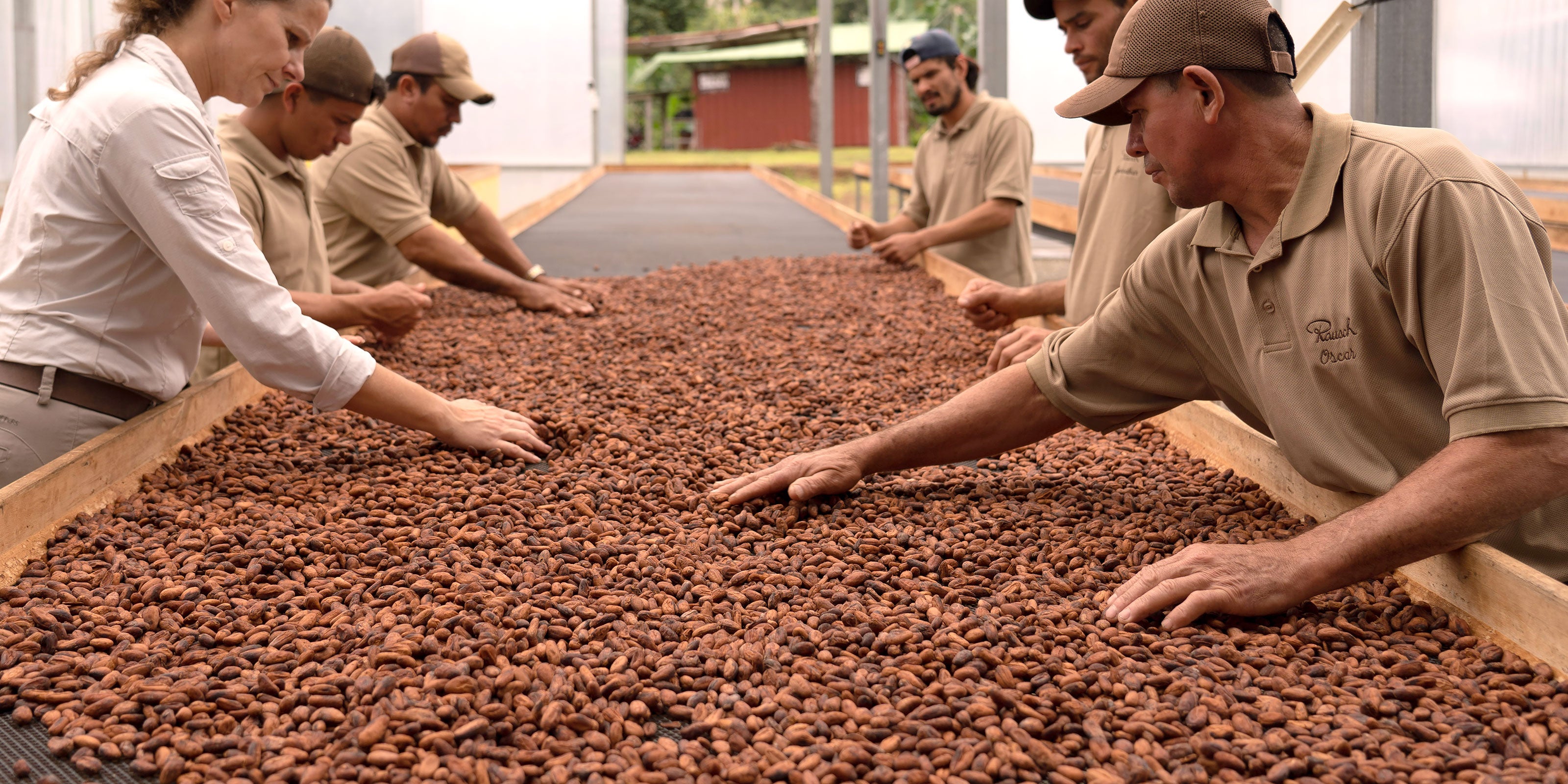 Rausch Edelkakaobohnen Kontrolle 