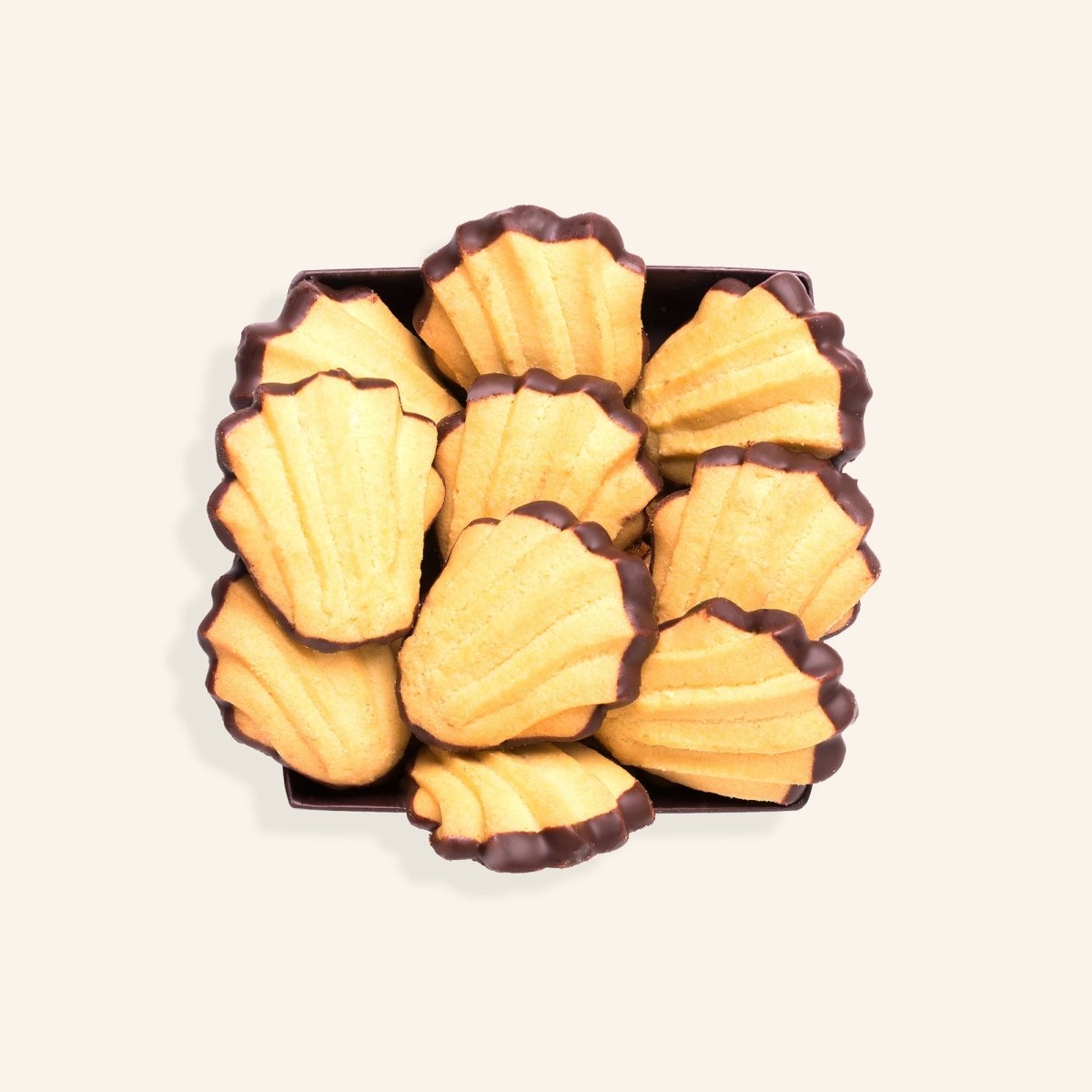 BÄRENTATZEN - Rausch