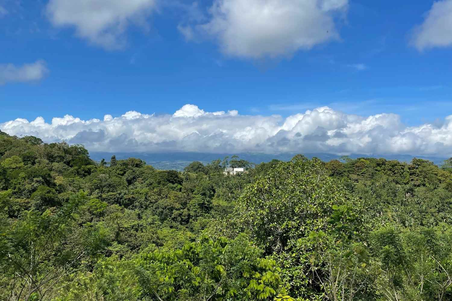 Rausch Plantage Costa Rica Klimaneutralität