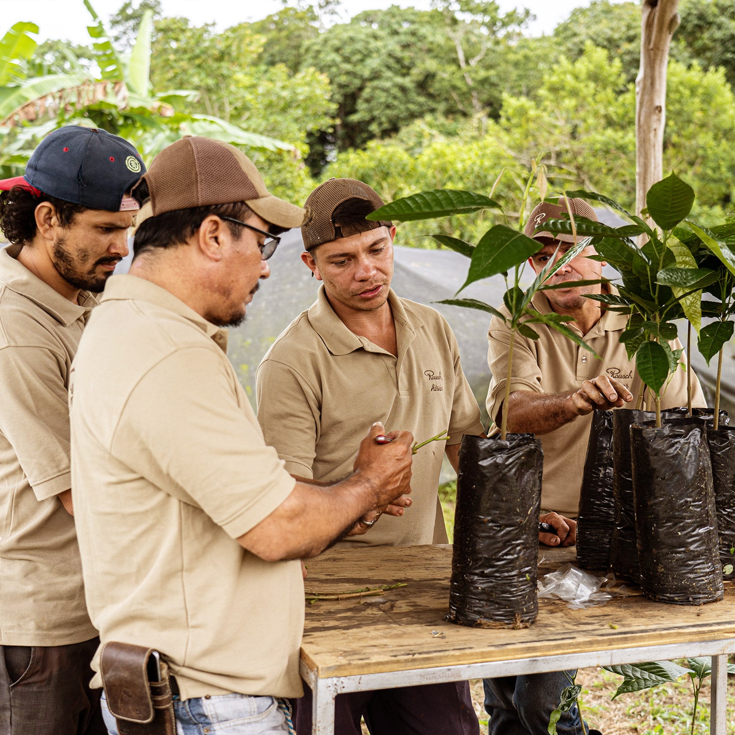 Rausch Direct Trade Farmer