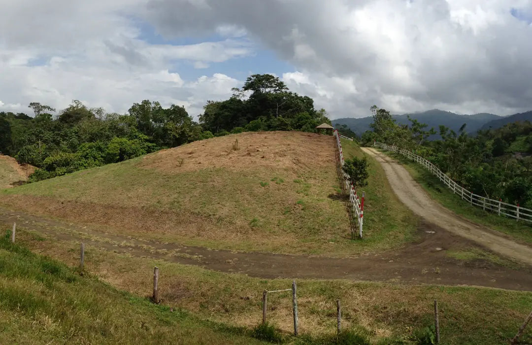 Rausch Standort Costa Rica wie alles begann